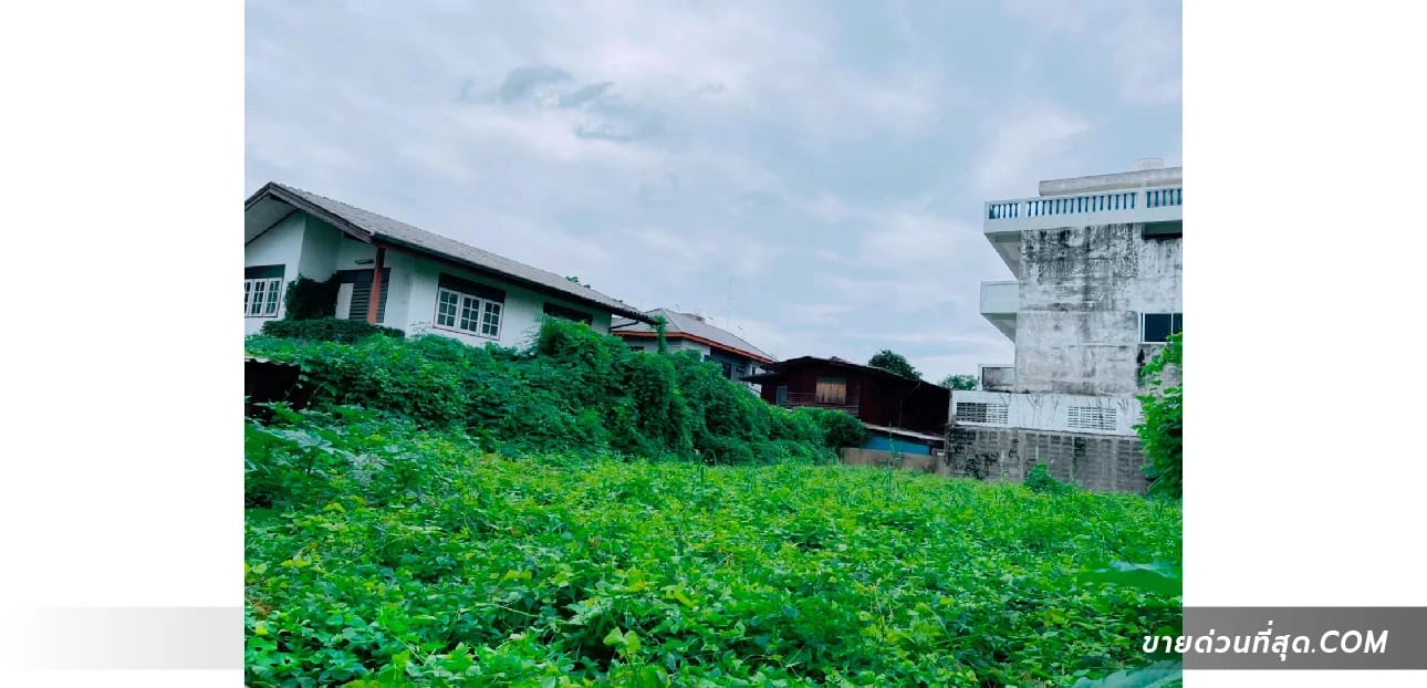 ที่ดินขาย บางซื่อ บางซื่อ กรุงเทพมหานคร — รูปที่ 1