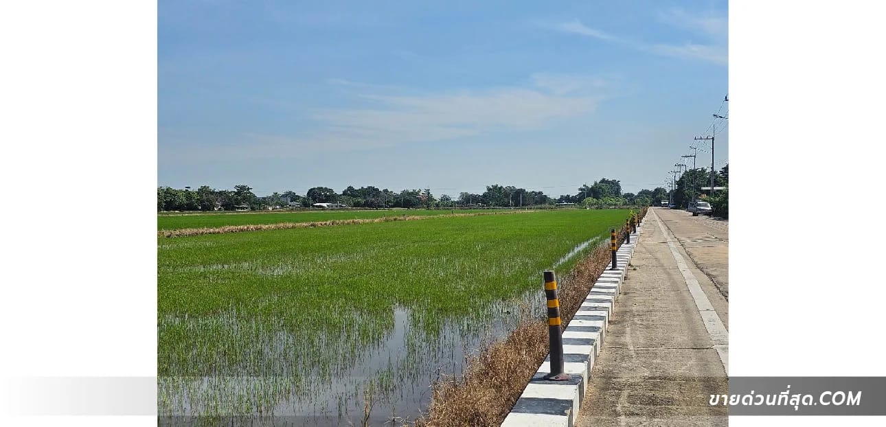 Land For Sale บึงคำพร้อย, ลำลูกกา, ปทุมธานี — photo 1