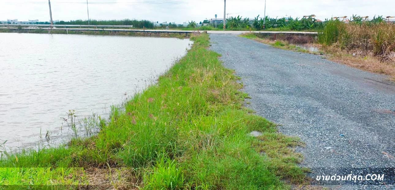 Land For Sale บึงคำพร้อย, ลำลูกกา, ปทุมธานี — photo 1