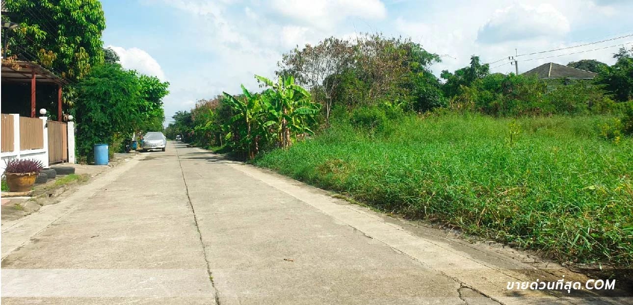 Land For Sale ลำปลาทิว, ลาดกระบัง, กรุงเทพมหานคร — photo 1