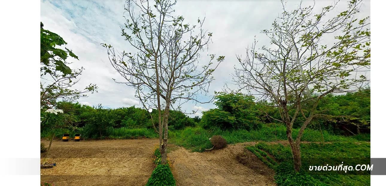 Land For Sale มวกเหล็ก, มวกเหล็ก, สระบุรี — photo 1
