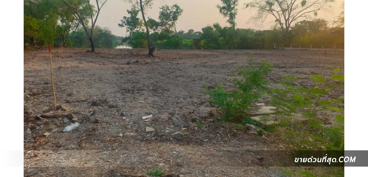 Land For Sale คลองหนึ่ง, คลองหลวง, ปทุมธานี — photo 1