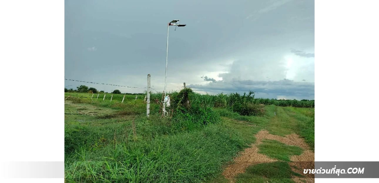 Land For Sale ดอนกระเบื้อง, บ้านโป่ง, ราชบุรี — photo 1