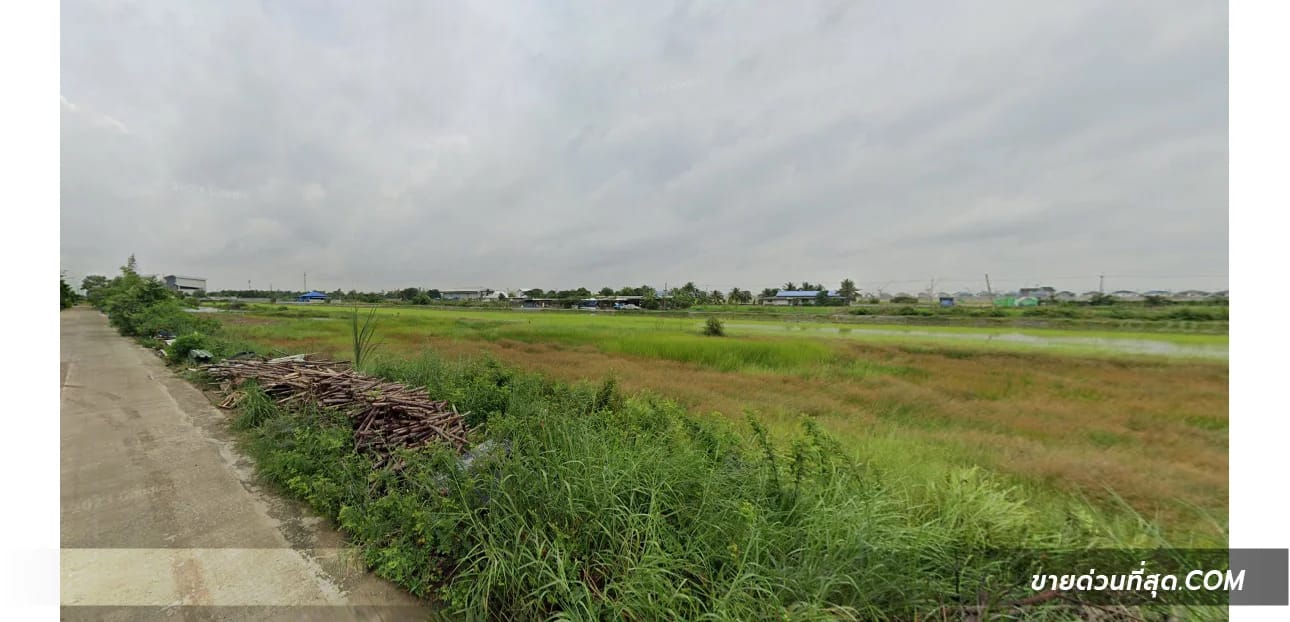 ที่ดินขาย บึงคำพร้อย ลำลูกกา ปทุมธานี — รูปที่ 1