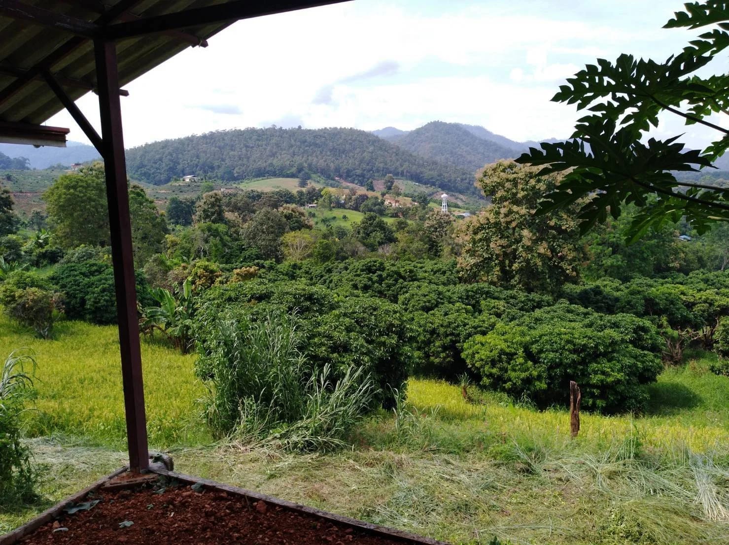 Land For Sale Nam Phrae, Phrao, Chiang Mai — photo 1