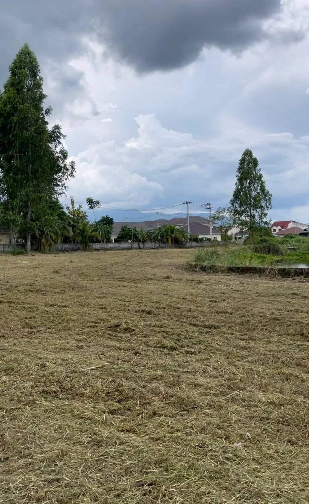 Land For Sale ป่าไผ่, สันทราย, เชียงใหม่ — photo 1