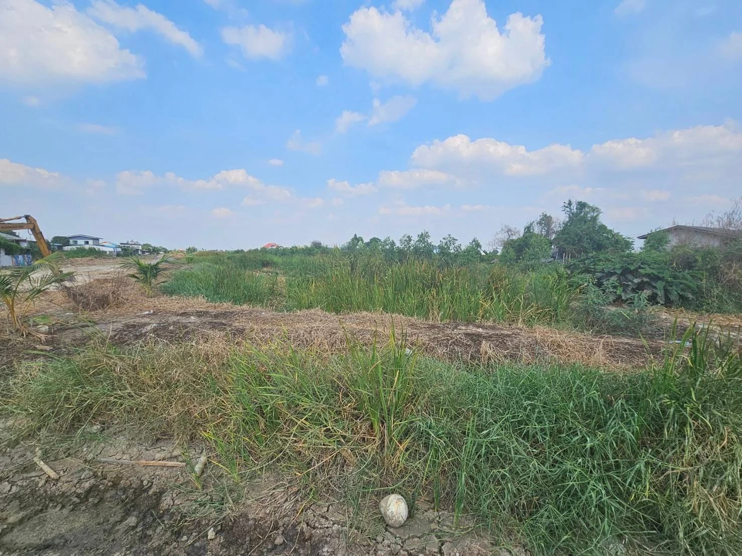 Land For Sale คลองด่าน, บางบ่อ, สมุทรปราการ — photo 1