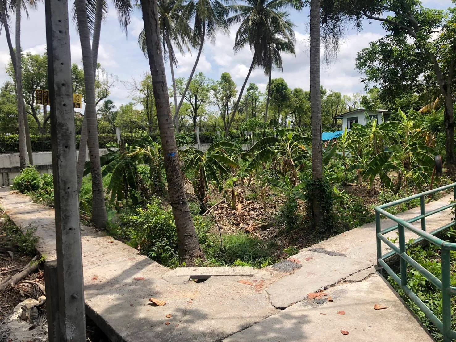 Land For Sale บางระมาด, ตลิ่งชัน, กรุงเทพมหานคร — photo 1