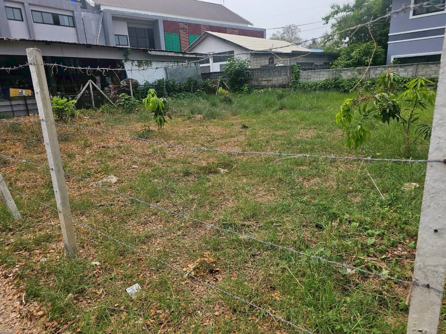 Land For Sale หนองหอย, เมืองเชียงใหม่, เชียงใหม่ — photo 1