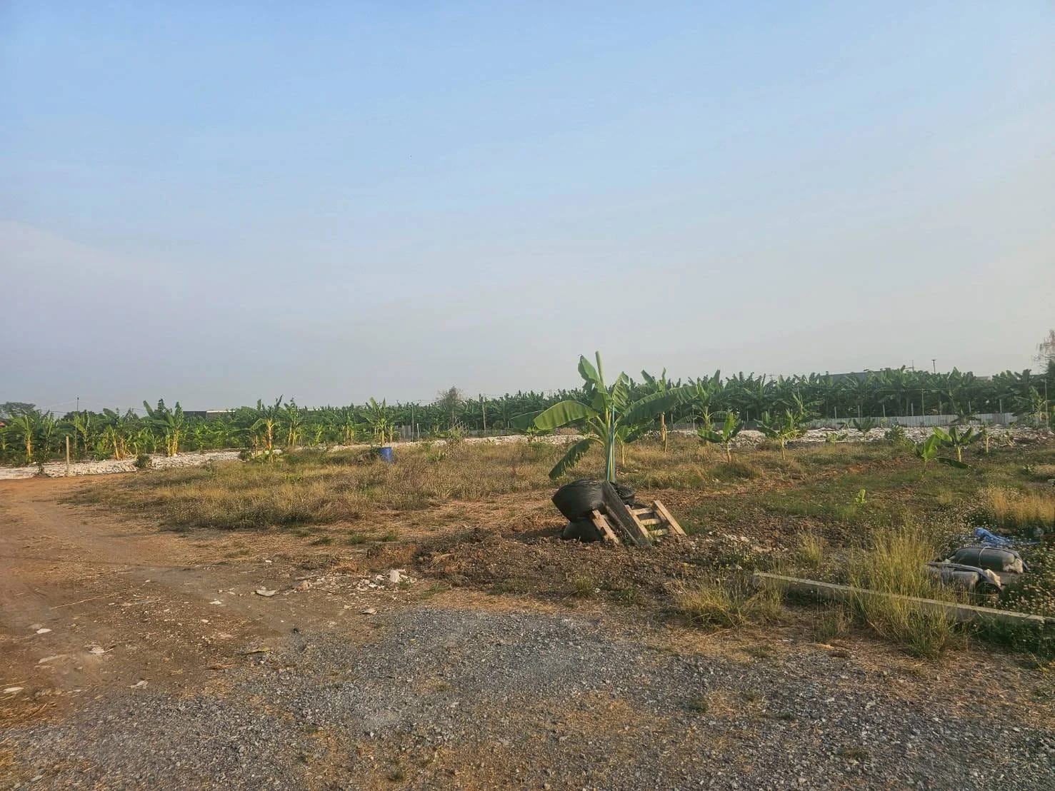 Land For Sale ทับช้าง, สะพานสูง, กรุงเทพมหานคร — photo 1