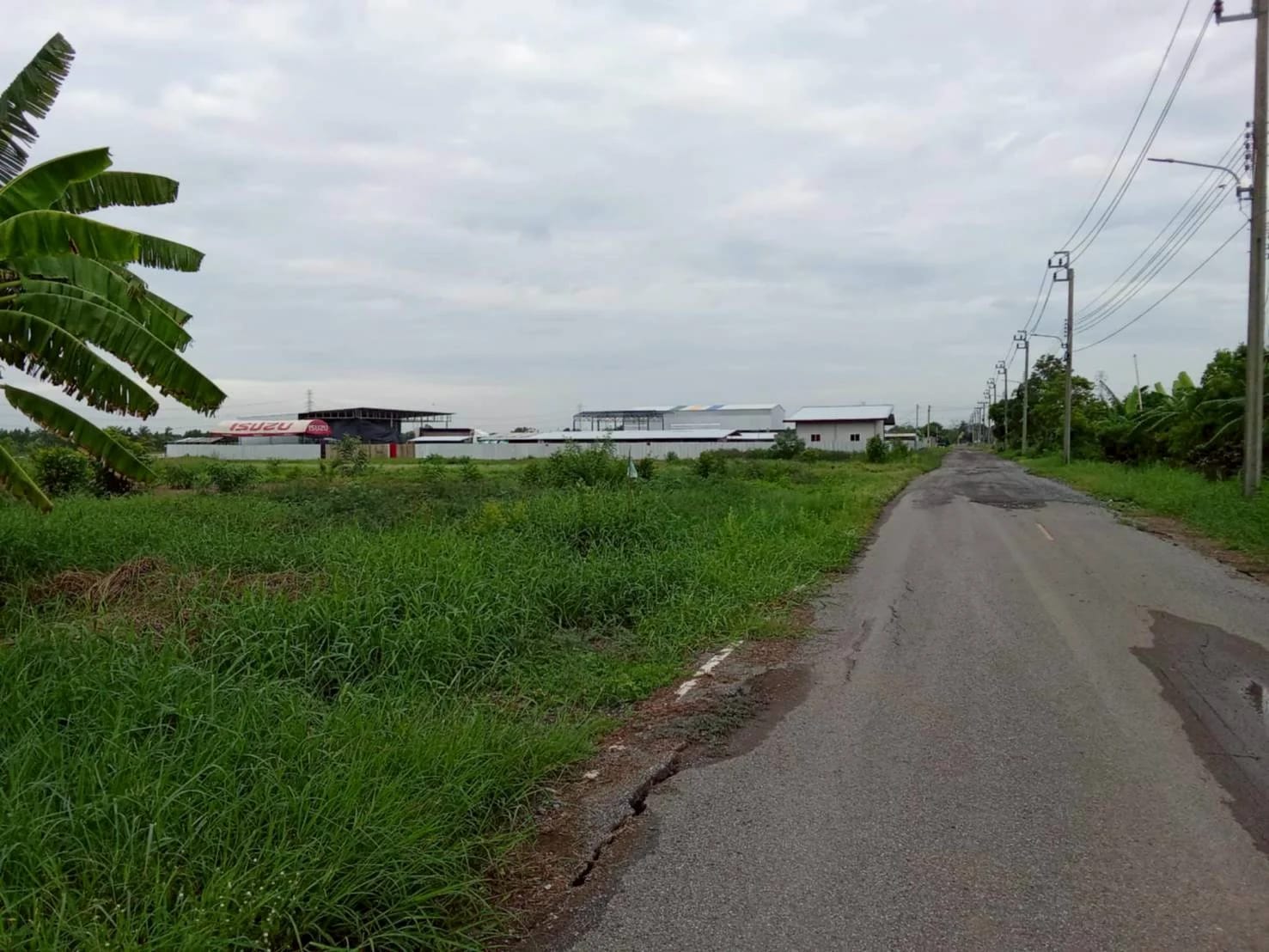 Land For Sale คลองสิบสอง, หนองจอก, กรุงเทพมหานคร — photo 1