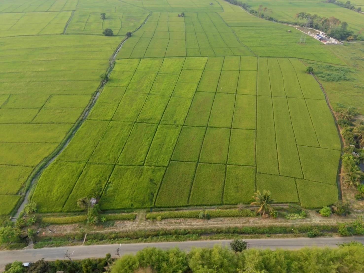 Land For Sale San Pong, Mae Rim, Chiang Mai — photo 1