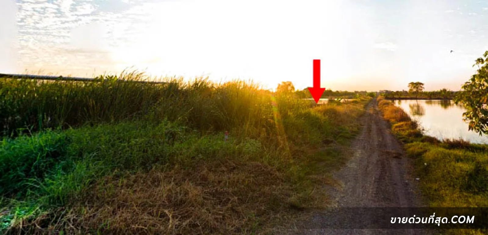 Land For Sale Lam Pla Tiew, Lat Krabang, Bangkok — photo 1