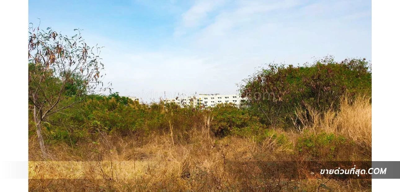 Land For Sale บ้านเก่า, พานทอง, ชลบุรี — photo 1