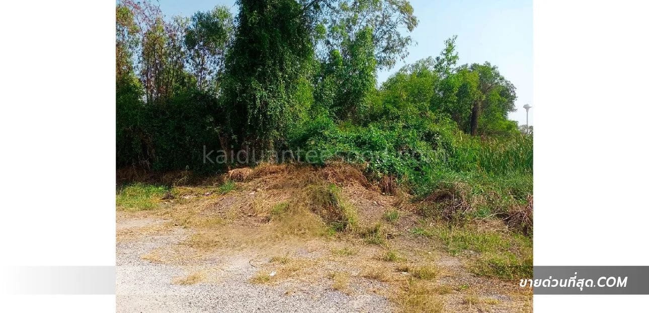 Land For Sale แสนภูดาษ, บ้านโพธิ์, ฉะเชิงเทรา — photo 1
