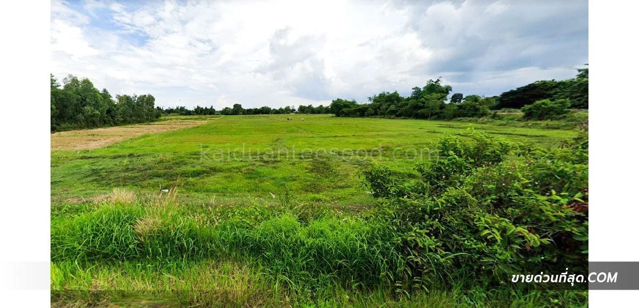Land For Sale หนองหล่ม, ห้างฉัตร, ลำปาง — photo 1