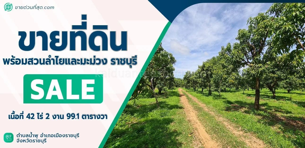 Land For Sale น้ำพุ, เมืองราชบุรี, ราชบุรี — photo 1