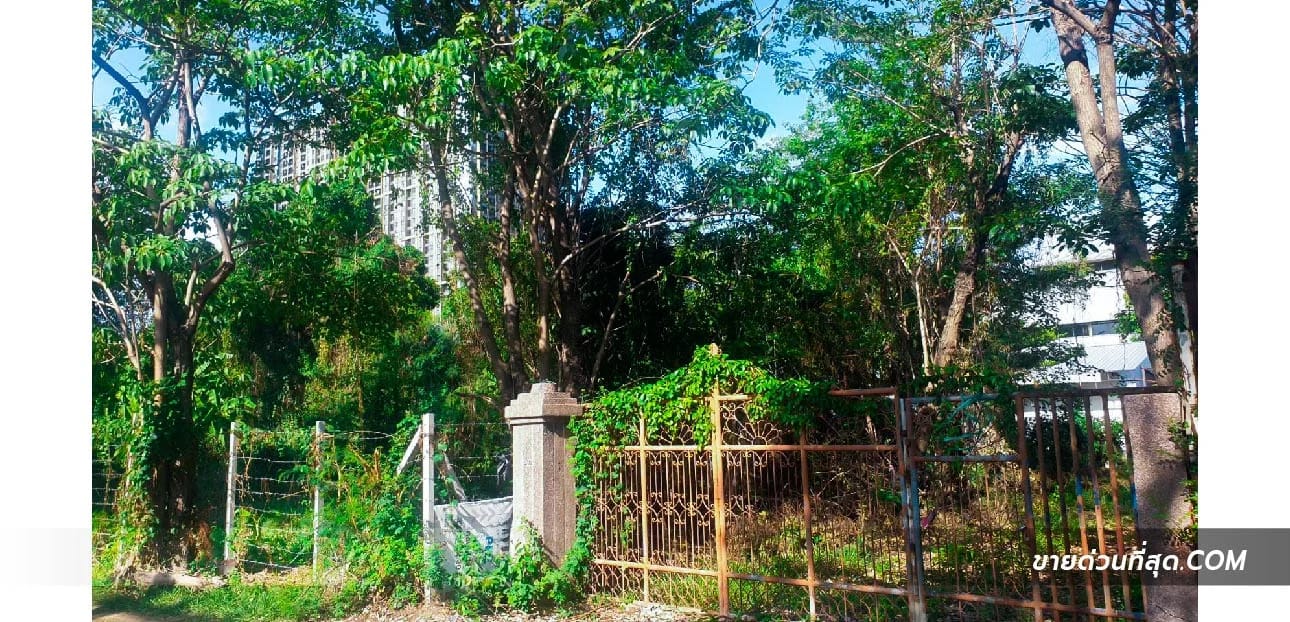 Land For Sale สำโรงเหนือ, เมืองสมุทรปราการ, สมุทรปราการ — photo 1