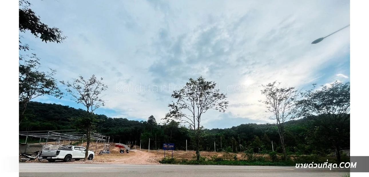 ที่ดินขาย สนามไชย นายายอาม จันทบุรี — รูปที่ 1