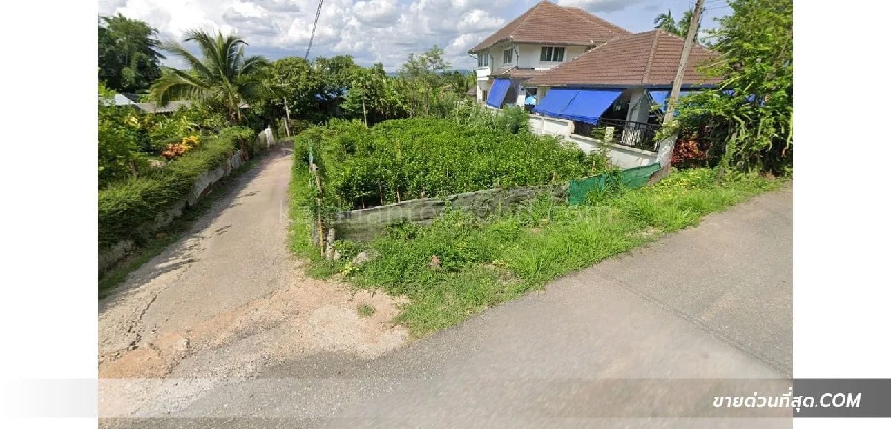 Land For Sale ริมใต้, แม่ริม, เชียงใหม่ — photo 1