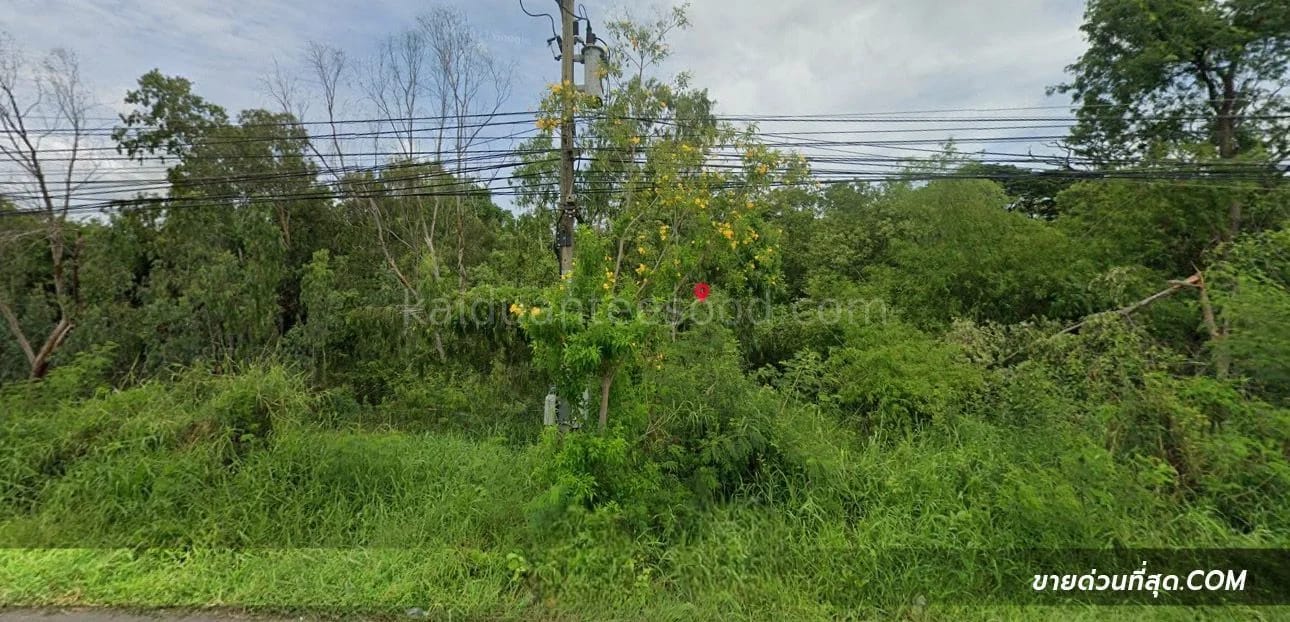 Land For Sale บ้านโพธิ์, บางปะอิน, พระนครศรีอยุธยา — photo 1