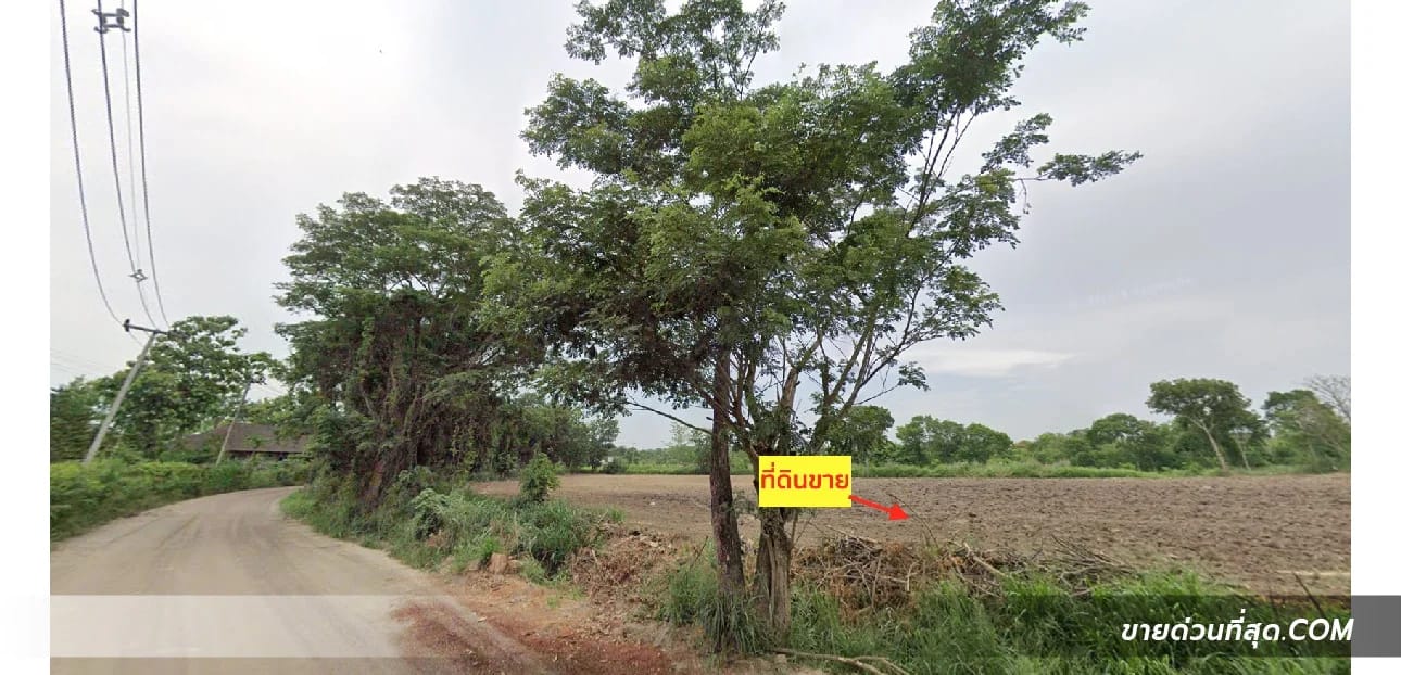 Land For Sale Khanong Phra, Pak Chong, Nakhon Ratchasima — photo 1