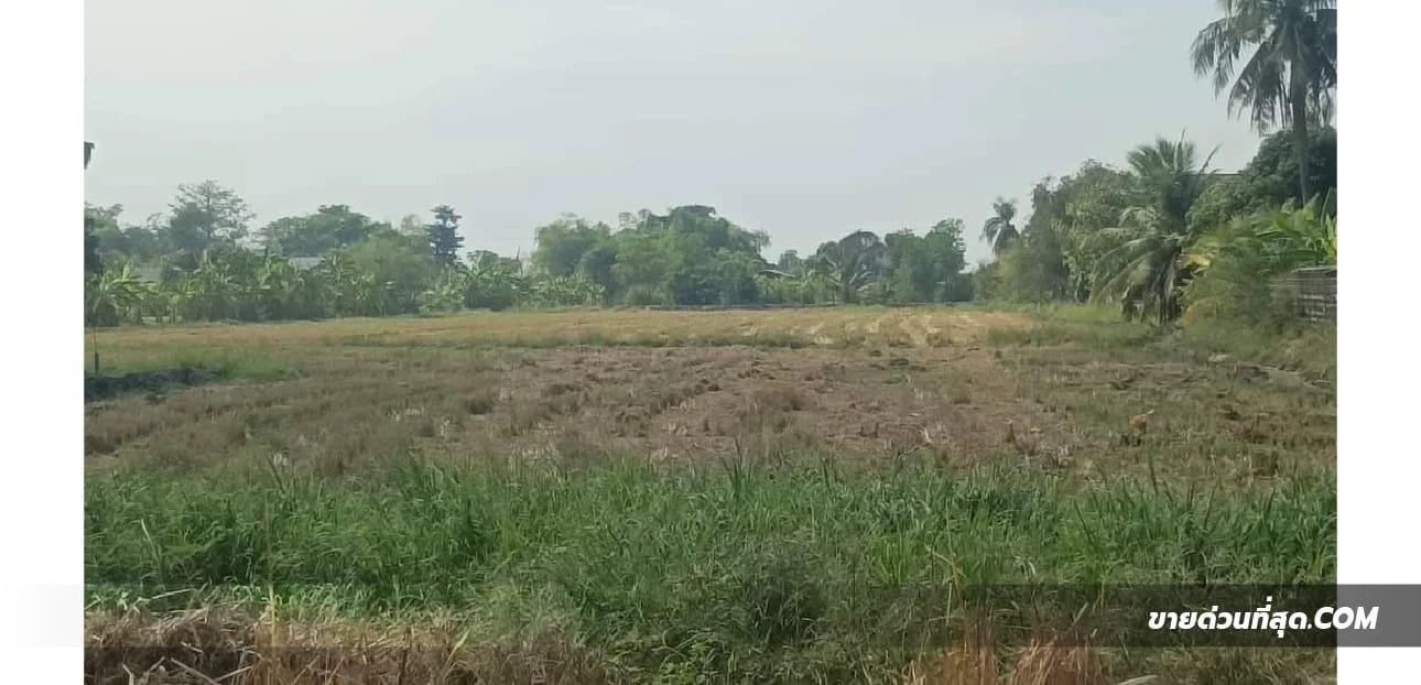Land For Sale Khum Thong, Lat Krabang, Bangkok — photo 1