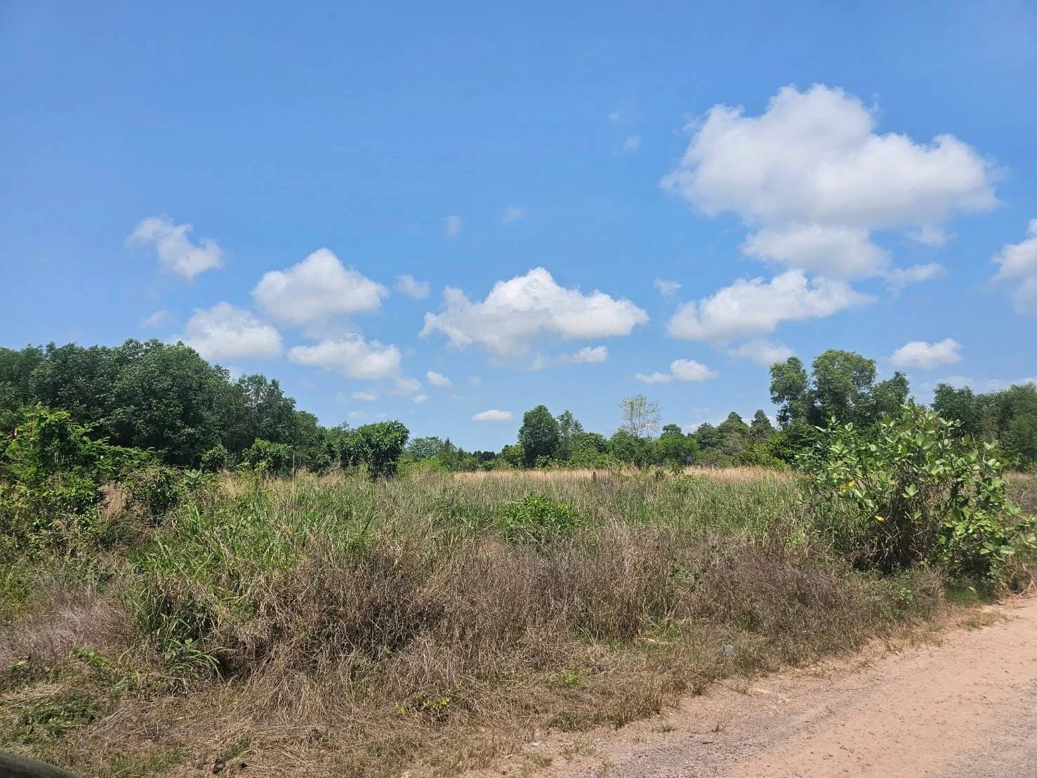 Land For Sale ตะพง, เมืองระยอง, ระยอง — photo 1