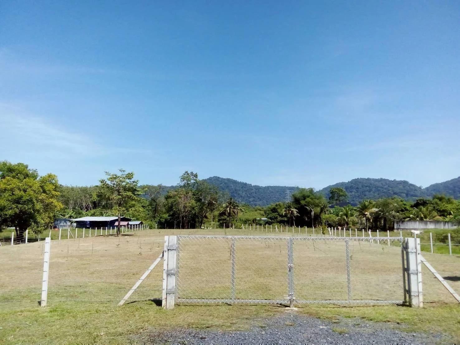 Land For Sale เทพกระษัตรี, ถลาง, ภูเก็ต — photo 1