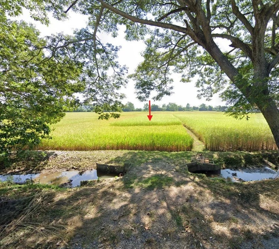 Land For Sale เวียงเหนือ, เวียงชัย, เชียงราย — photo 1