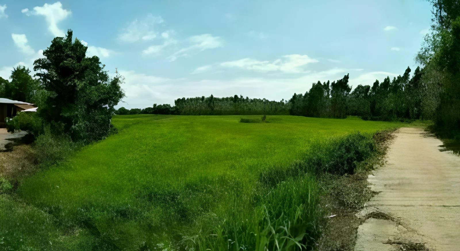 Land For Sale หัวหว้า, ศรีมหาโพธิ, ปราจีนบุรี — photo 1