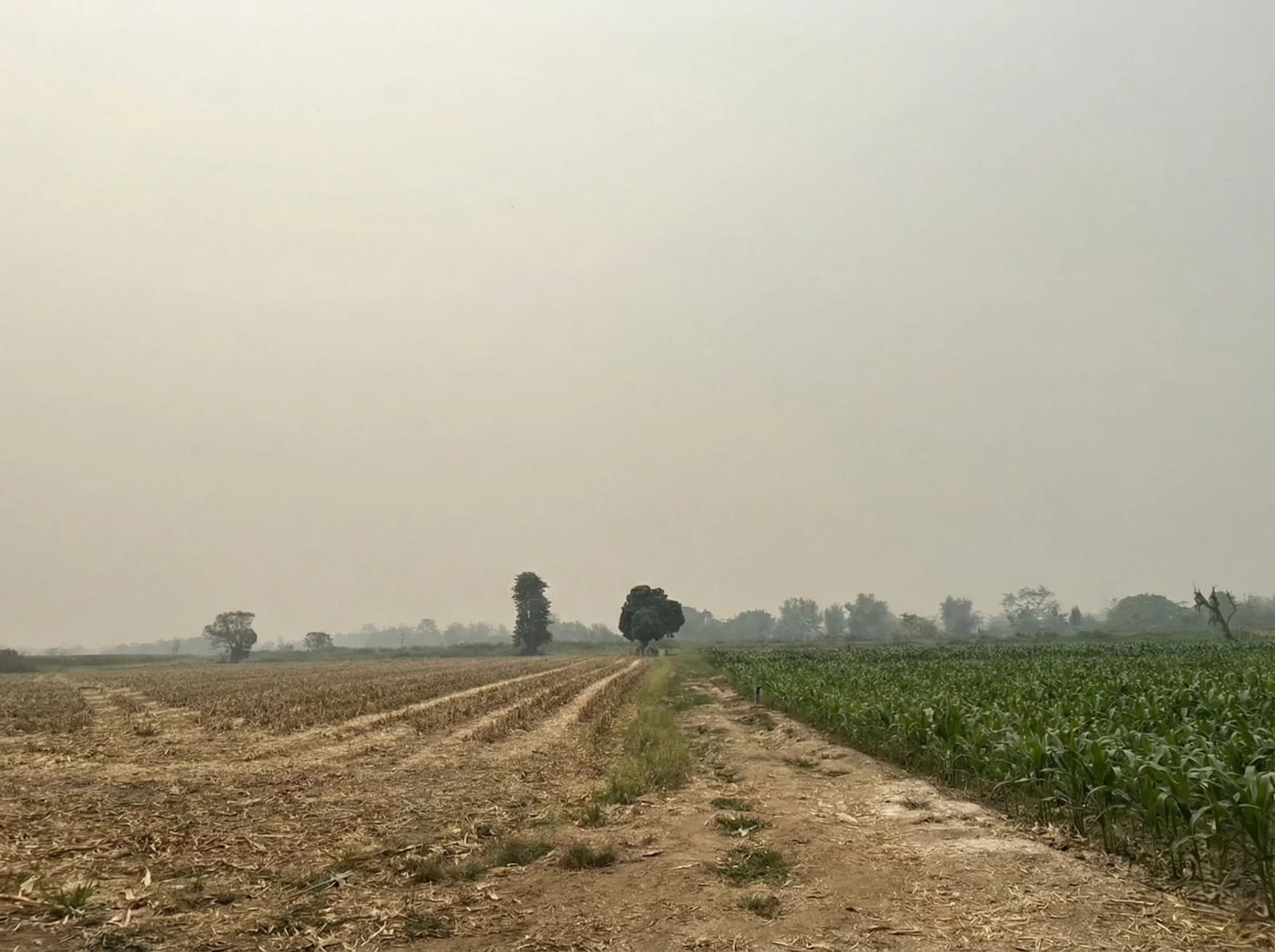 Land For Sale ริมกก, เมืองเชียงราย, เชียงราย — photo 1
