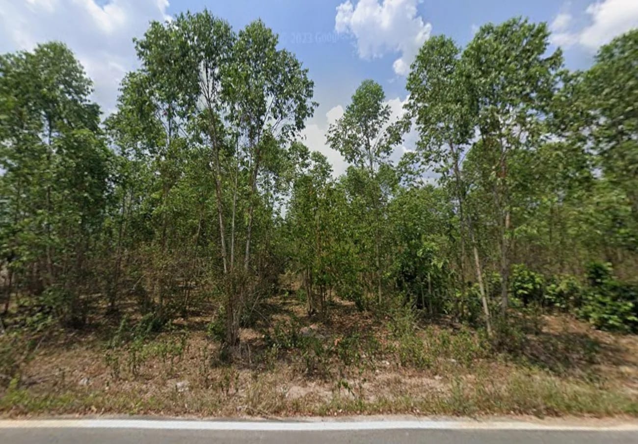 ที่ดินขาย หนองเหียง พนัสนิคม ชลบุรี — รูปที่ 1