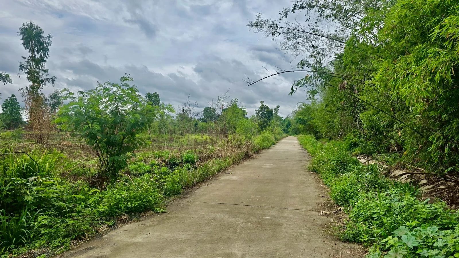 Land For Sale Nakhon Chedi, Pa Sang, Lamphun — photo 1