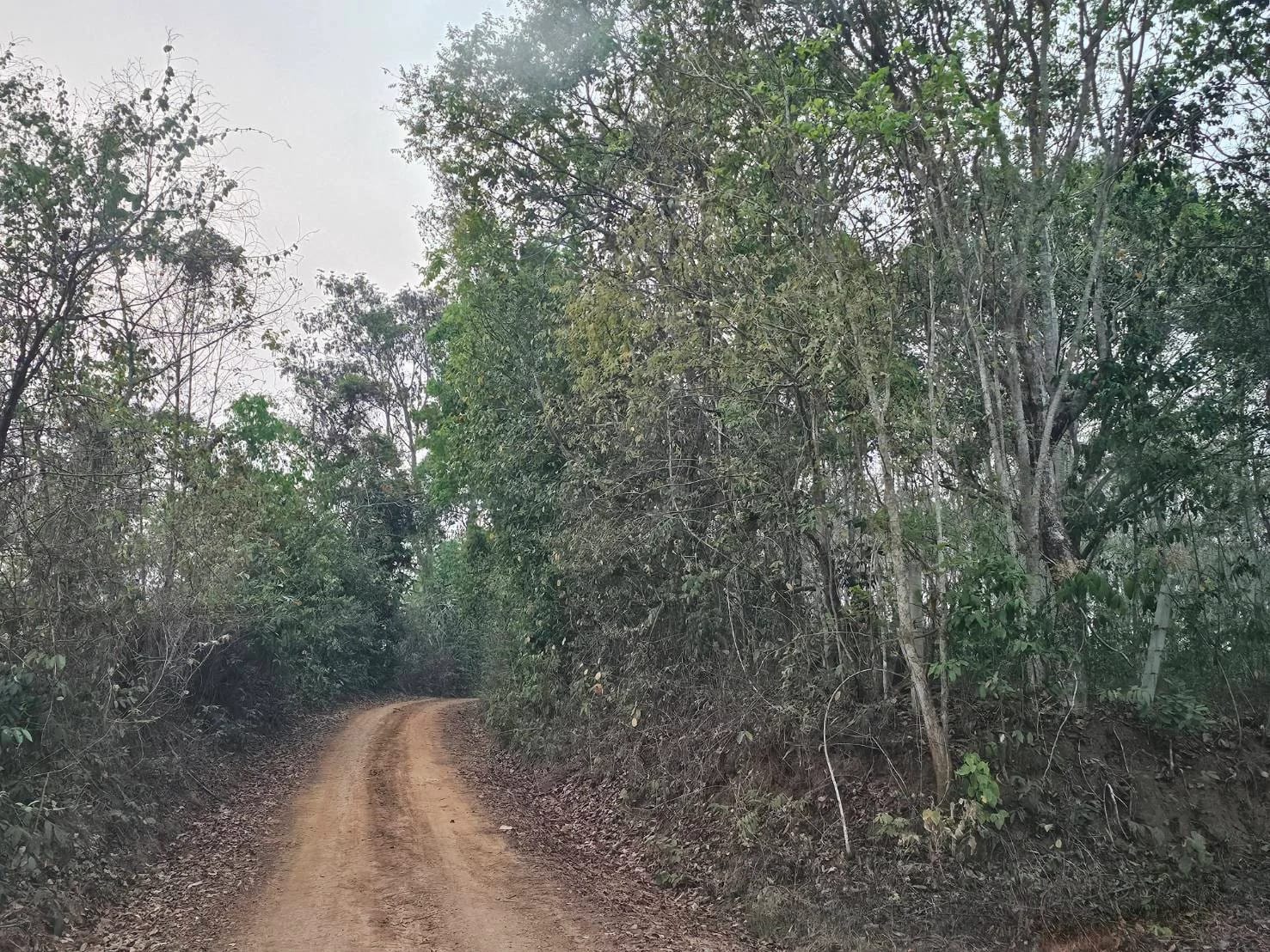 Land For Sale Mae Khao Tom, Mueang Chiang Rai, Chiang Rai — photo 1