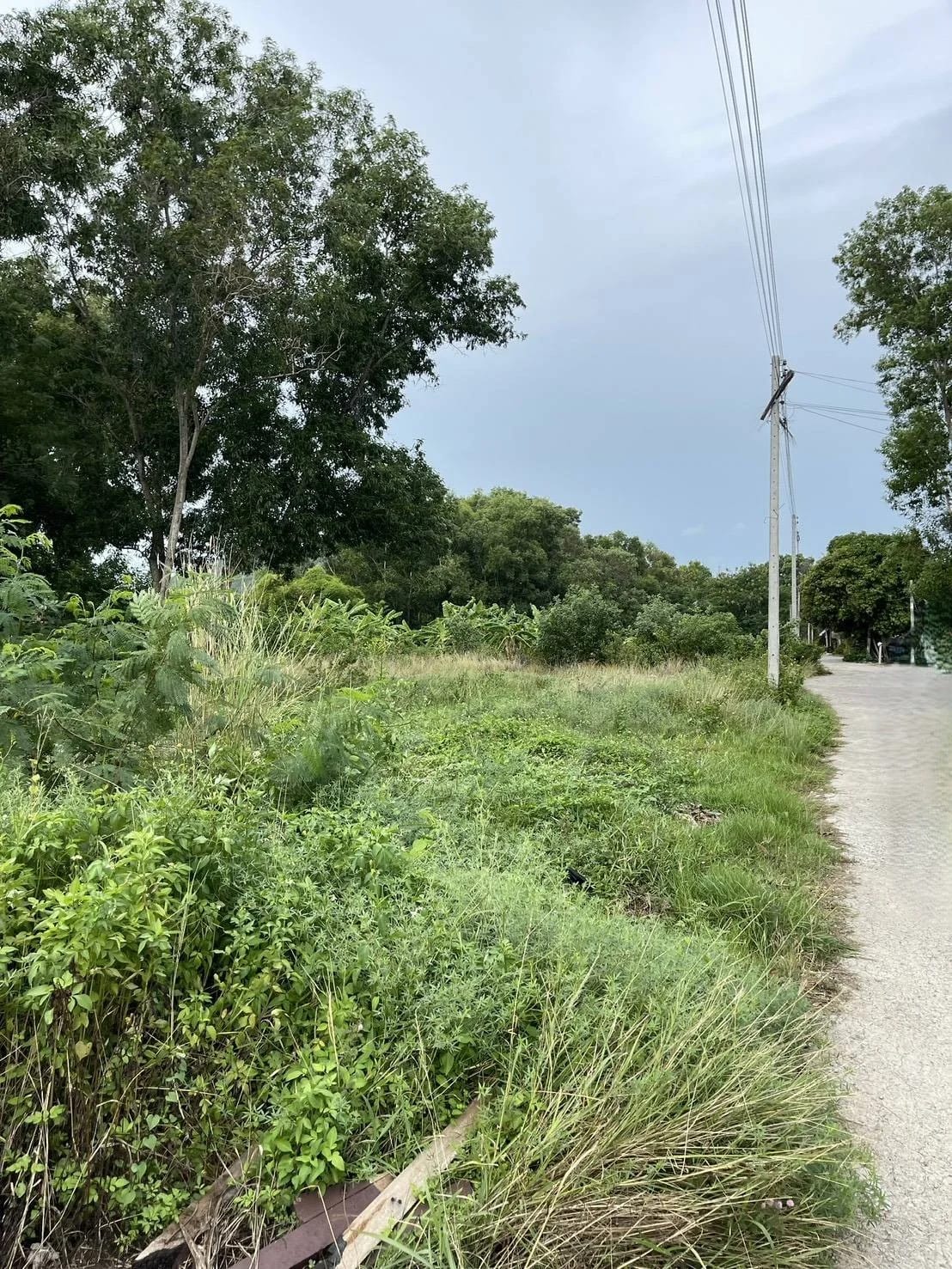 Land For Sale Phum Riang, Chaiya, Surat Thani — photo 1